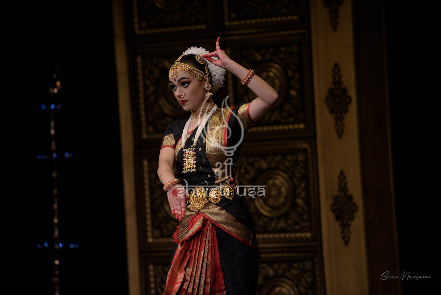 Bharatanatyam Dance Class - Online