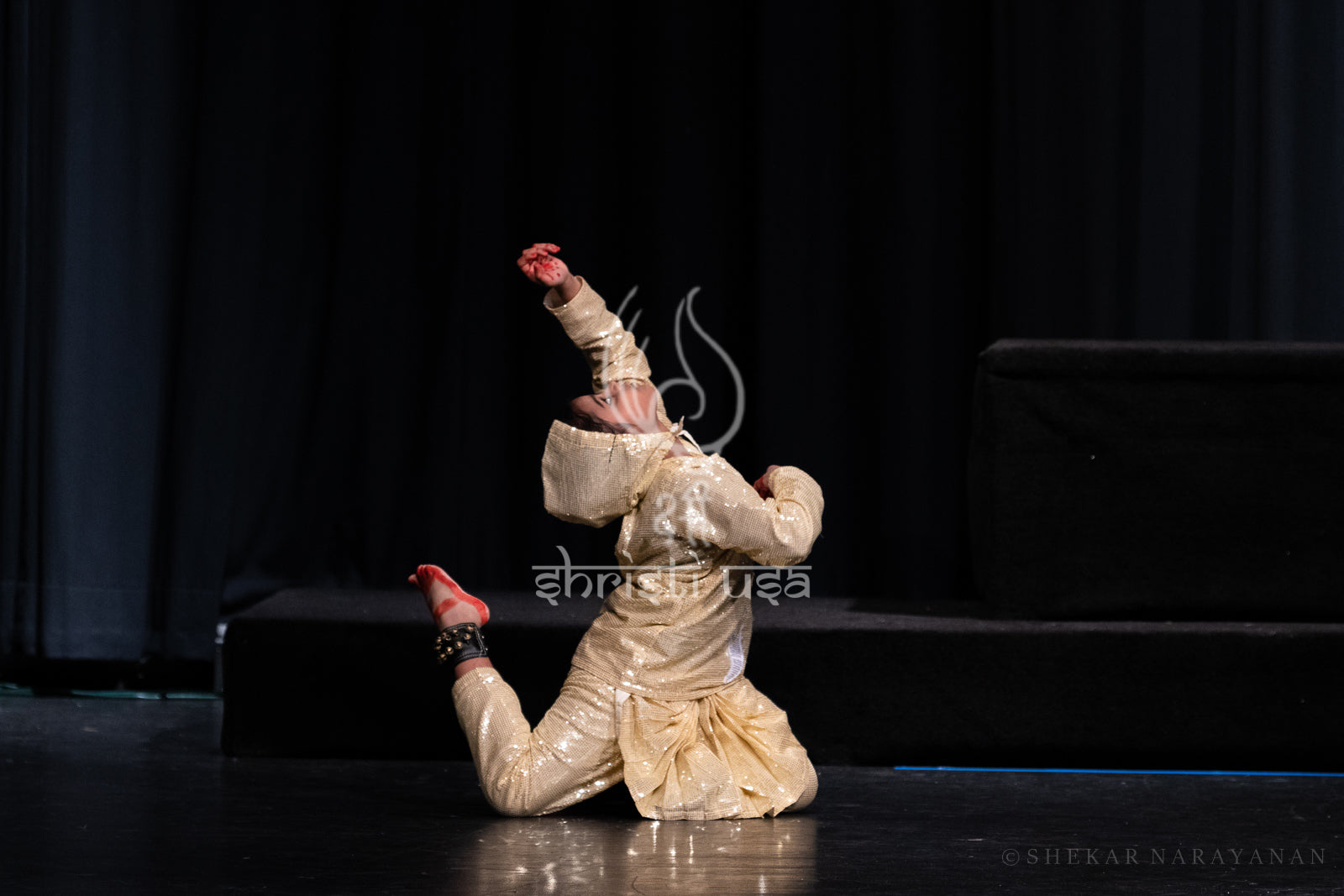 shrishtiusa-dance-school-image