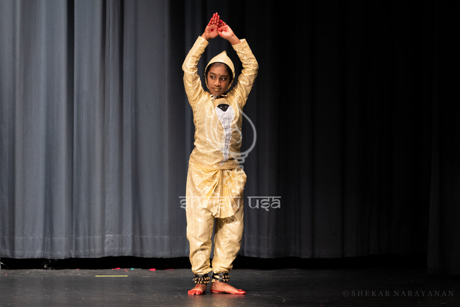 shrishtiusa-dance-school-image